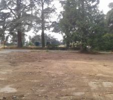 Voici notre terrain apres achat