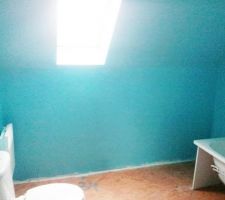 Peinture bleu sdb