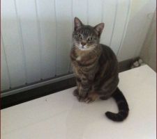 Il fais meilleur prés du radiateur !!