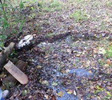 Fossé bouché qui déborde