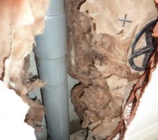 Fuite suspectée sur l\'évacuation baignoire. Finalement non... Mais tuyaux changé...