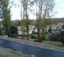 Il va falloir couper les arbres maintenant!