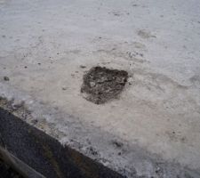 Un malin qui s'est crû sur hollywood boulevard !