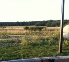 Vu sur notre terrain qui est en lot arri&egrave;re