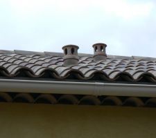 Tient, de nouveaux champignons!!!