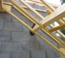 Photo de la r&eacute;alisation du rampanage n&deg;11