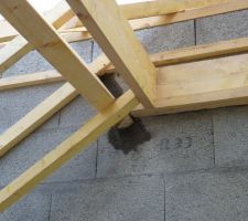 Photo de la r&eacute;alisation du rampanage n&deg;12