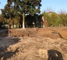 Début du terrassement

Le seul arbre qui a survi. 17 ont été abattus.