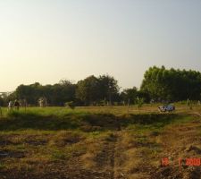 2009 - &ccedil;a pousse