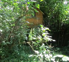 Le jardin avant - la cabane des enfants