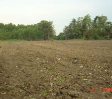 Vue du terrain zonz probable ou se situera la maison