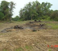 Mes arbres il sont os&eacute;s!