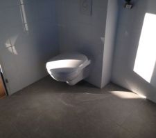 Toujours des toilettes !