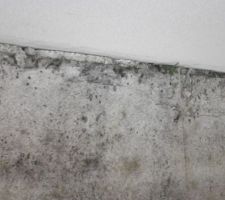 Infiltration eau de pluie angle entre le sol et mur exterieur