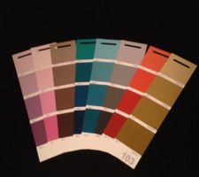 Voici les palettes de couleurs choisi pour notre futur maison ( 1 couleur par bande et par pièce )