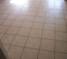 Salon sejour plus entr&eacute;e et le d&eacute;gagement est cette couleur qui se nomme lavandou