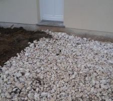 Mon entrée?? what else??