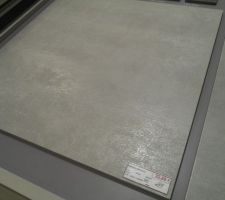 Carrelage RDC en 60/60.