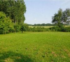 Voici donc le terrain qui accueillera notre future maison.