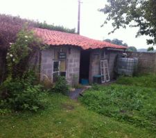 Un bout du garage qui va avoir besoin d'un bon coup de frais (toiture   mur côté jardin)