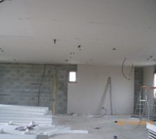 Plafond posé ,sortie des cables ,debut placo murs coté chambre arriere maison