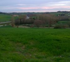 Voil&agrave; notre beau et grand terrain voila le boulot pour entretenir mais bon je suis motiv&eacute;.....