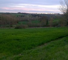 Voil&agrave; notre beau et grand terrain voila le boulot pour entretenir mais bon je suis motiv&eacute;.....