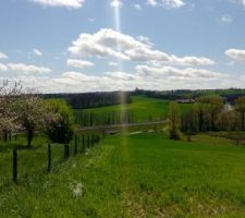 Voil&agrave; notre beau et grand terrain voila le boulot pour entretenir mais bon je suis motiv&eacute;.....