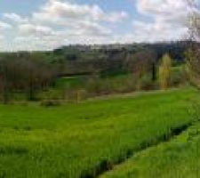 Voilà notre beau et grand terrain voila le boulot pour entretenir mais bon je suis motivé.....