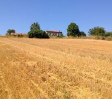 Voil&agrave; notre beau et grand terrain voila le boulot pour entretenir mais bon je suis motiv&eacute;.....