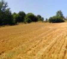 Voil&agrave; notre beau et grand terrain voila le boulot pour entretenir mais bon je suis motiv&eacute;.....