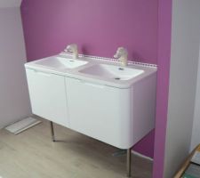 Meuble posé, arrivées et évacuations fonctionnelles.