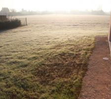 Un matin gelé