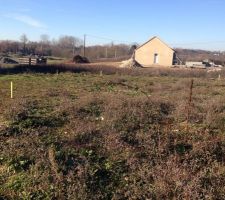 Implantation de la maison piquets jaune