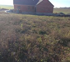 Implantation de la maison piquets jaune