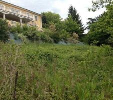 Premi&egrave;re venu sur le terrain.