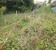 Premi&egrave;re venu sur le terrain.