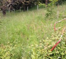 Premi&egrave;re venu sur le terrain.