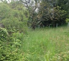 Premi&egrave;re venu sur le terrain.