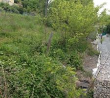 Premi&egrave;re venu sur le terrain.