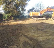 Terrain nu sans les arbres