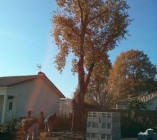 Ouverture du chantier ! les fondations