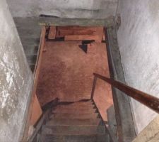 Avant rénovation RDC, escalier pour la cave.
