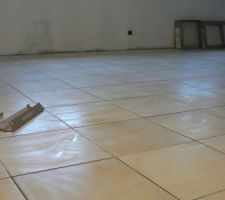 Vu de l'escalier: le salon