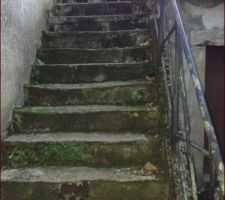 Avant rénovation, RDC photo de l'escalier.