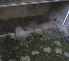 Avant rénovation, cour.