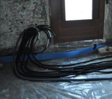 Préparation polyane  gaine