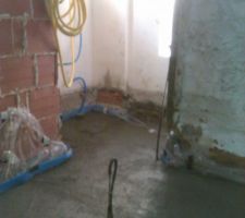 Coulage