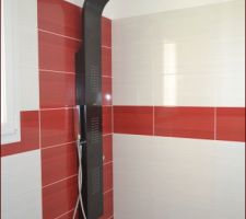 Notre potence de salle de douche