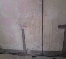 Saign&eacute;es cuisine